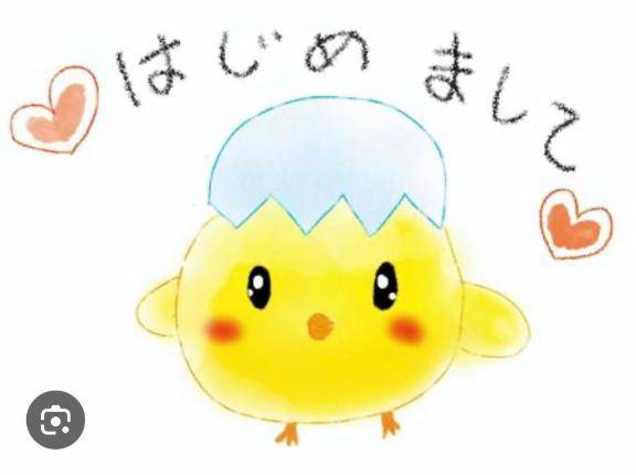 はじめまして(*.?.)"