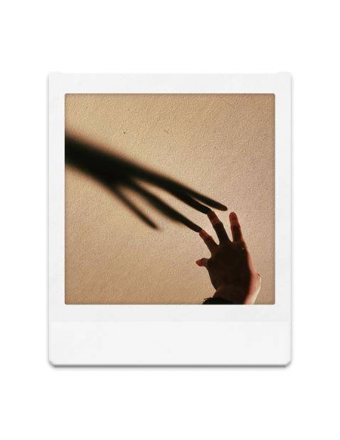 【オプションと特筆事項】