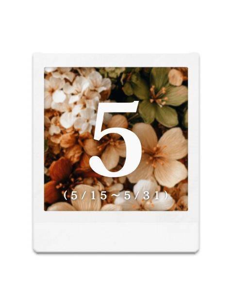 【5月の出勤予定】