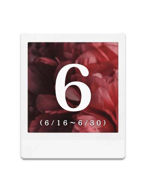 【6月の出勤予定】