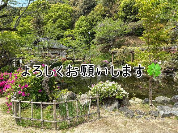 こんにちは?