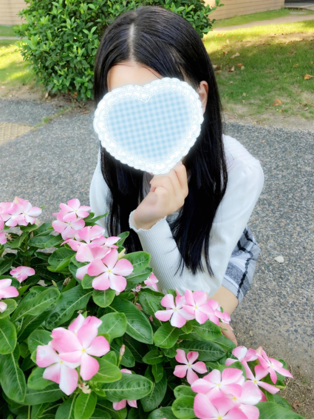 かぐや♡new!!（RANKAN－ランカン－）