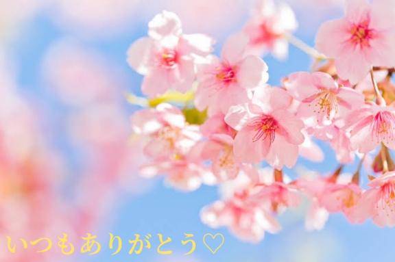 そろそろ。。。