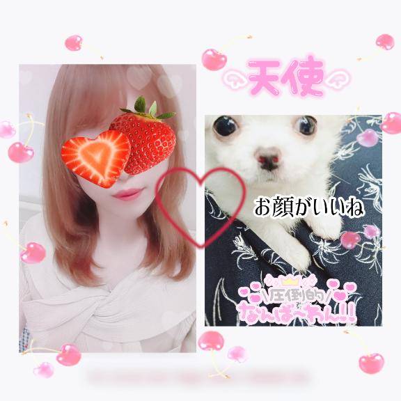 芹沢家の姫様.??????.?