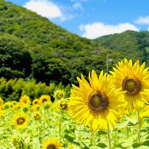 はじめまして?*゜