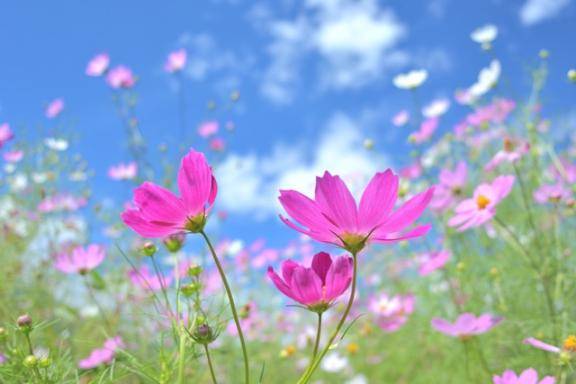 ついでだからね、