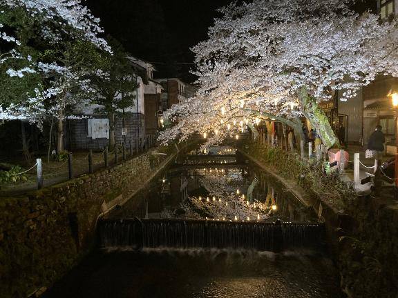 一人旅もアリだなあ、なんて
