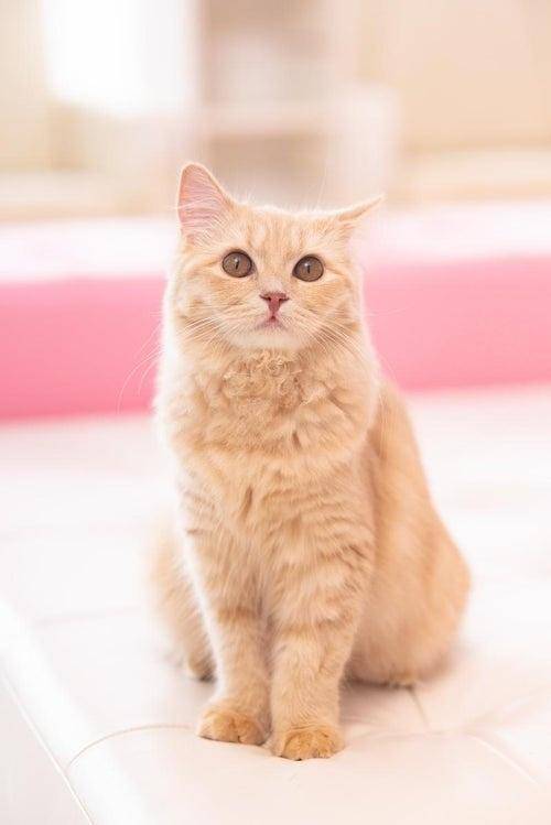 再会?　ネイルに行ったよぉー??