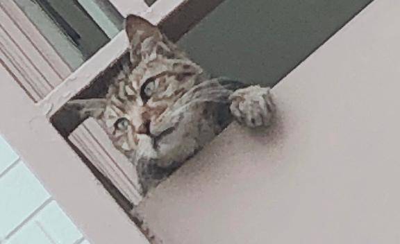 一体なんの罰なのか