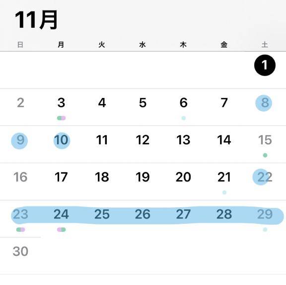 来月の休日予定日?