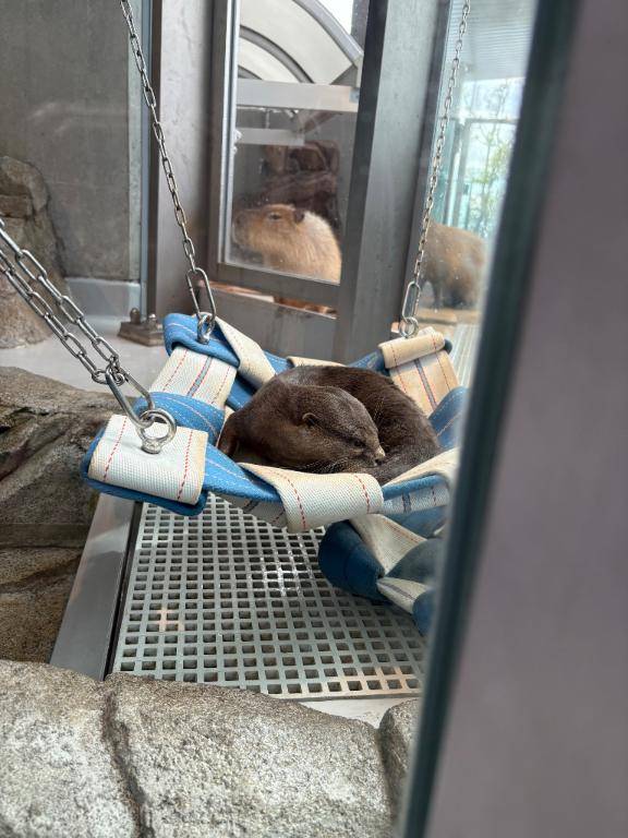 厄年は本当だったのかもしれない