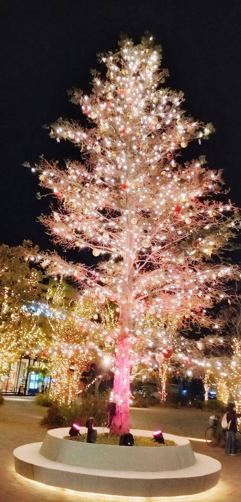 ゆいかサンタやってます?????