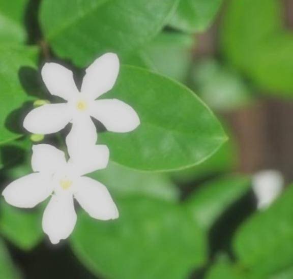 自宅 803のお兄さんへ