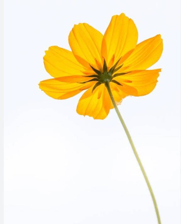 11/28（金）お礼