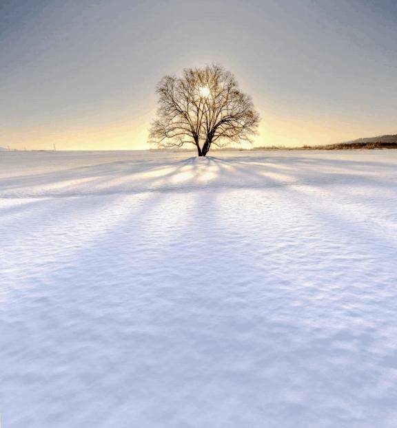 宜しくお願いいたします