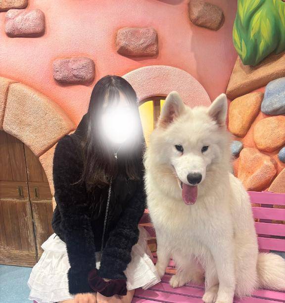 もふもふ(っ・ω・ｃ)??