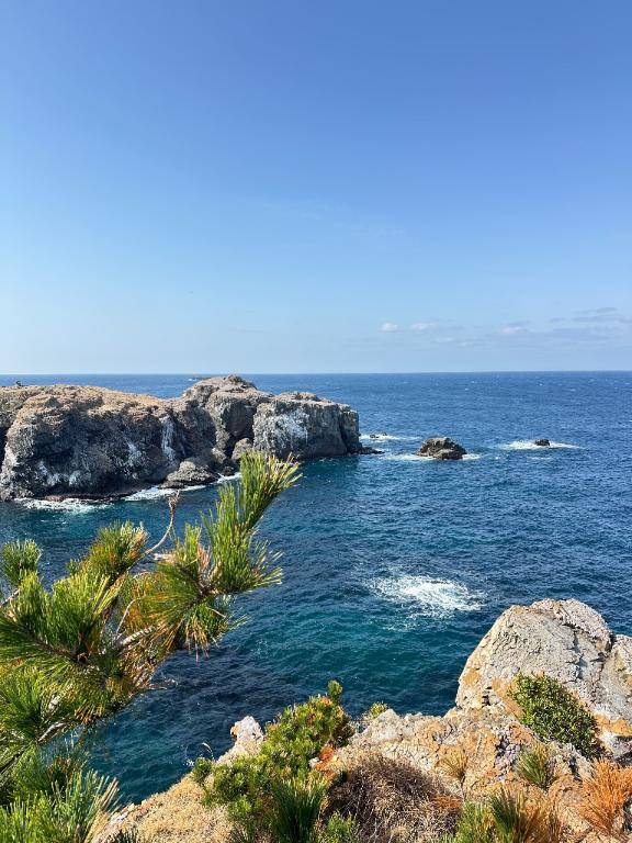 ?出勤あげたよ?