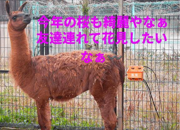 みつきさんの日常