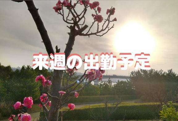 ??? 来週の出勤予定 ???