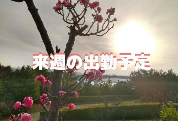 …?来週の出勤予定日?…