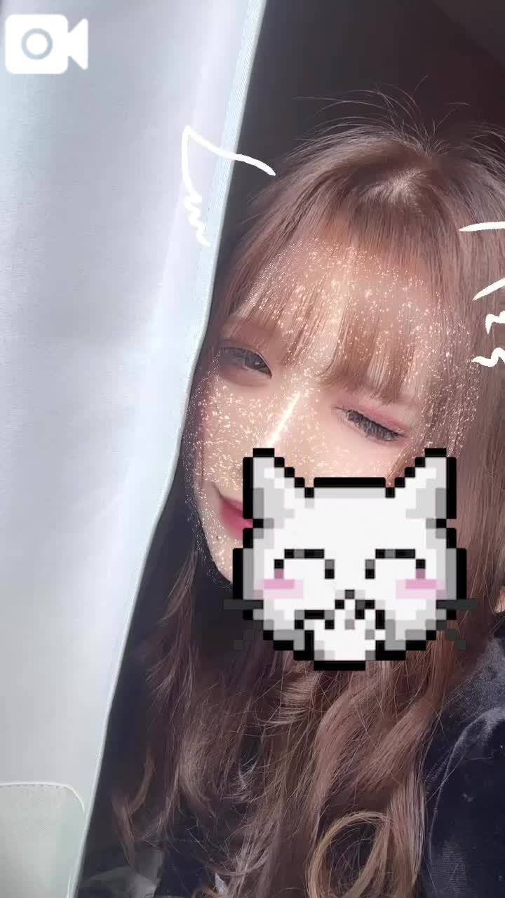 かわいいだけじゃだめでした(*´︶`*)ﾉ