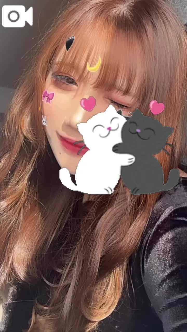 今日もいるよ！