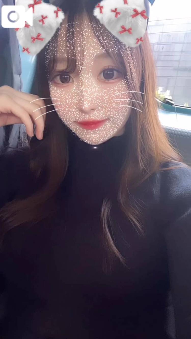 🌟 おやすみなさい 🌟