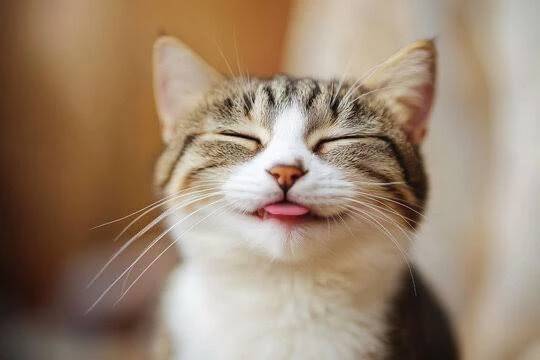 ‪👊🏻❤️‍🔥