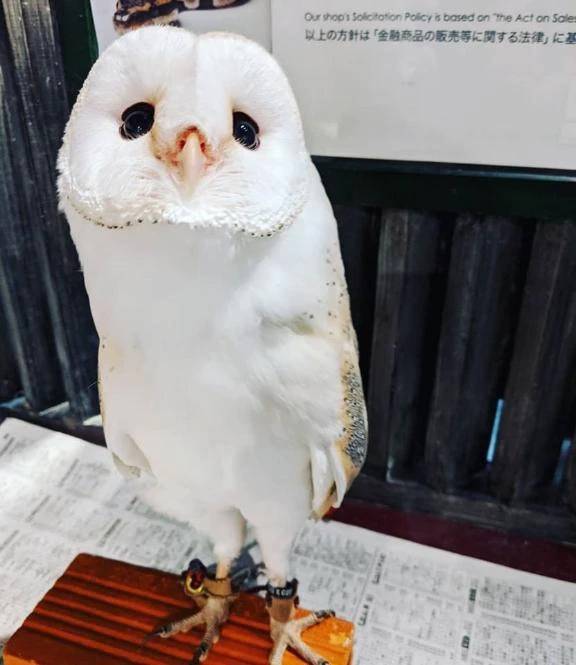 おはようございます