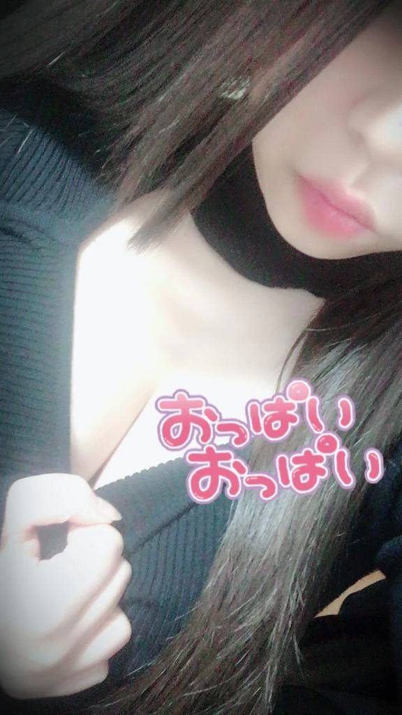 出勤してる🐯