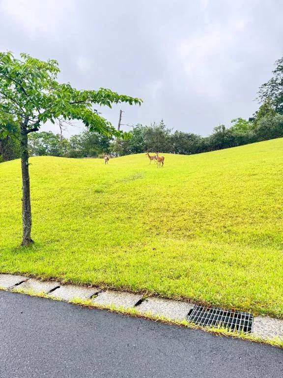 おはよん
