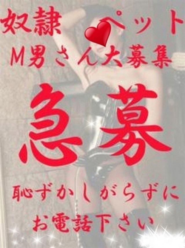 しらとり（ラブマシーン広島〔ラブマシーングループ〕）