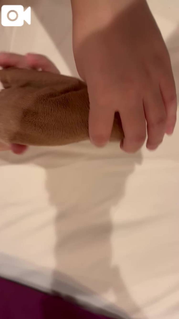 明日からっ❣️