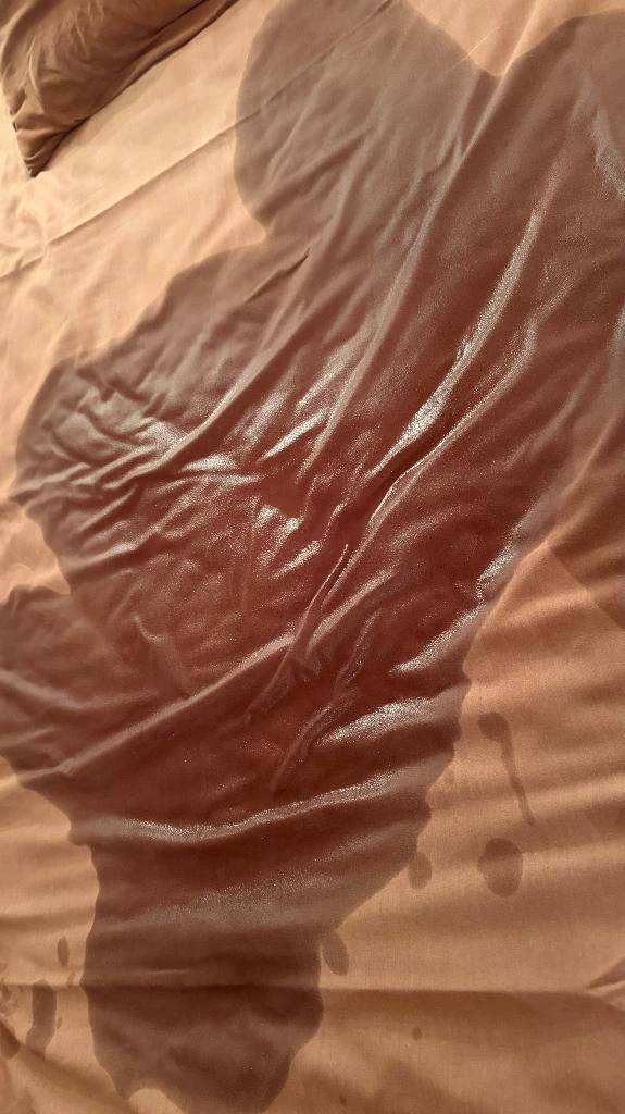 急遽明日から！