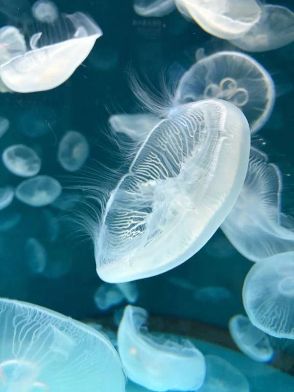 2025年ありがとうございました🩵