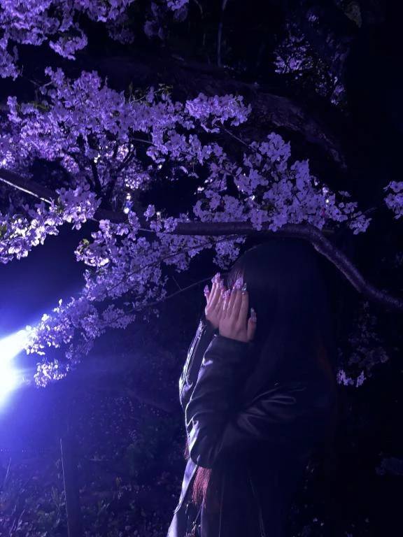 まほ