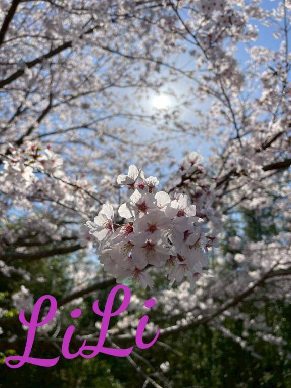 皆様ごめんね?