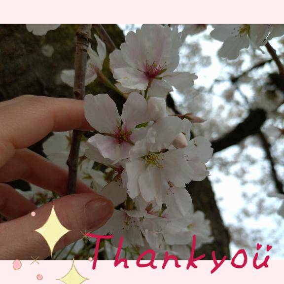 ☆★４月度感謝★☆