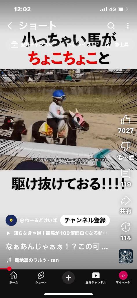 宮崎の競馬場(笑)