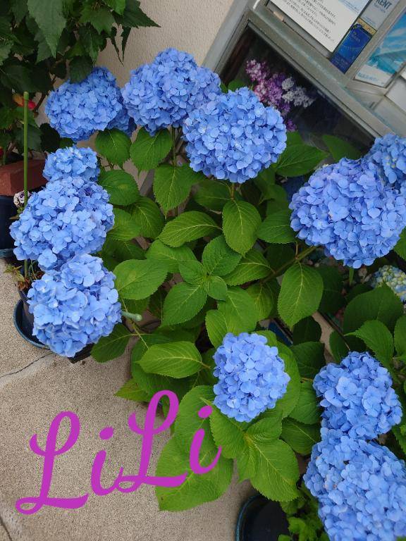 お久しぶりです????