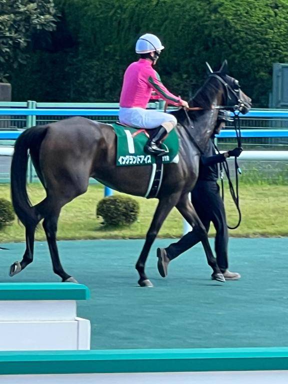 [お題]from:えすおーわんさん