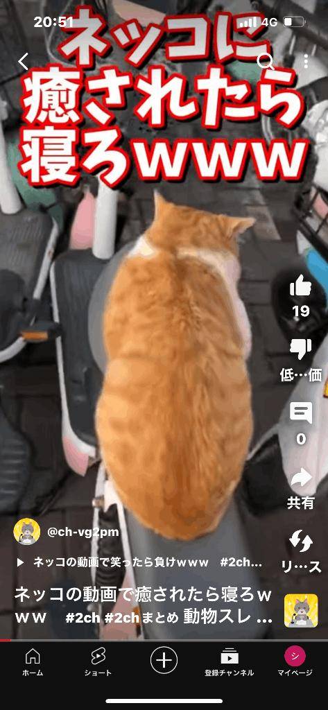 [お題]from:にゃん吸いさん