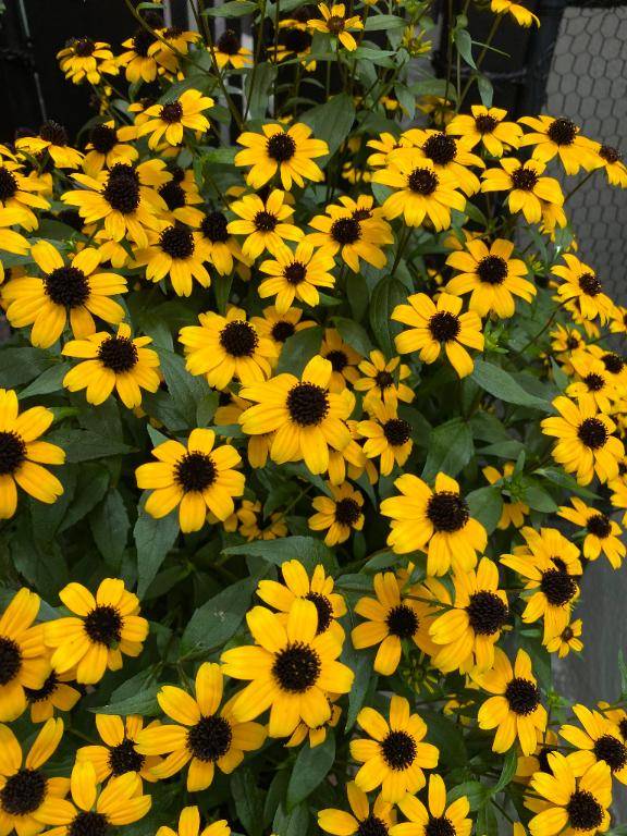 [お題]from:暖ボールさん