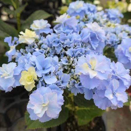 [お題]from:レンジでチン！さん