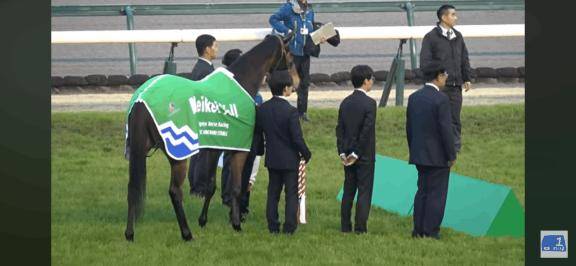 ありがたい事にお気に入り登録マイガールが