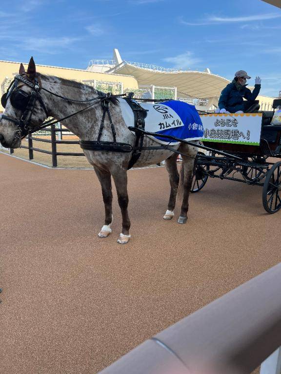 コギャルの戦い明日は荒れる？（笑）