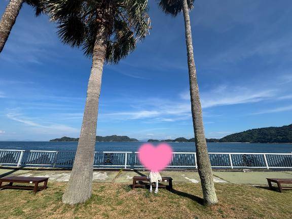 [お題]from:クモリバコさん?