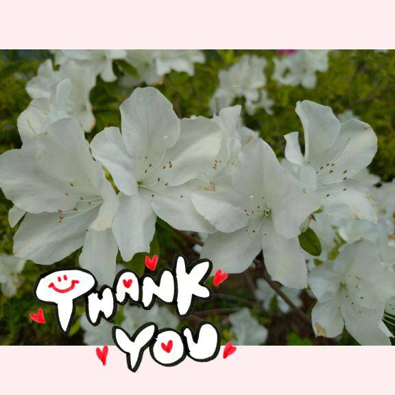 ★☆12月度感謝☆★