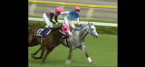 三日間来てくださった旦那様方沢山の御贔屓様方