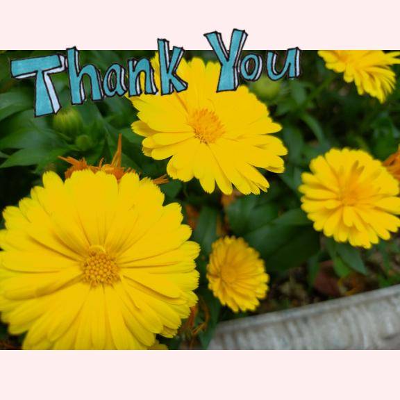 ★☆1月度感謝☆★